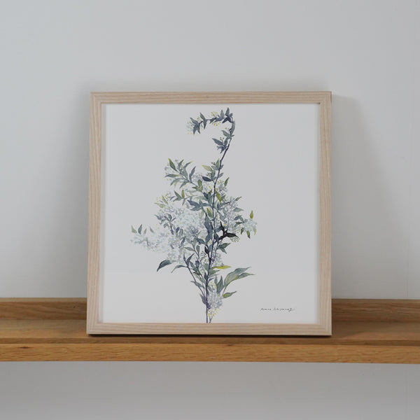 SEO FRAME | ポスターフレーム アッシュ (ヌリナシ) | 木製額縁 瀬尾製額所 正方形フレーム