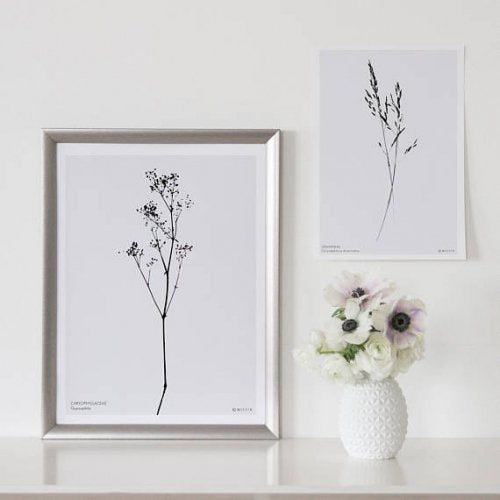 MICUSH | GYPSOPHILA ART PRINT | アートプリント/ポスター (30x40cm)