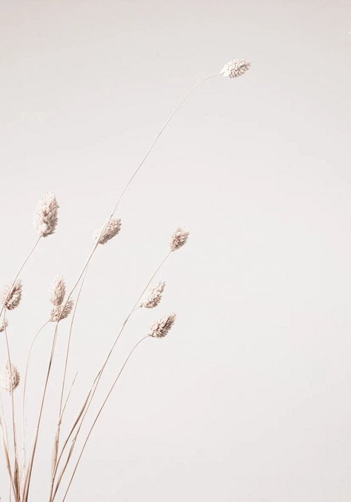 NOUROM | LITTLE THINGS #1 | アートプリント/ポスター