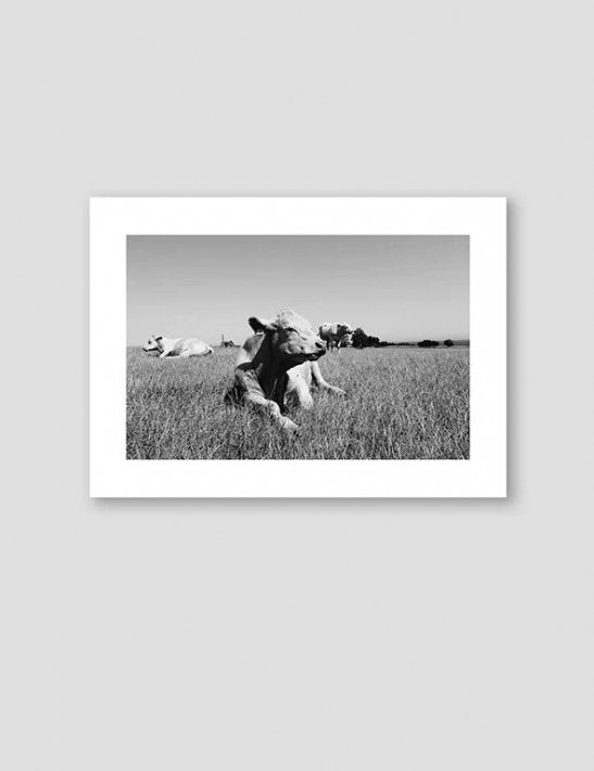 NOUROM | GRASSING COWS #1 | アートプリント/ポスター