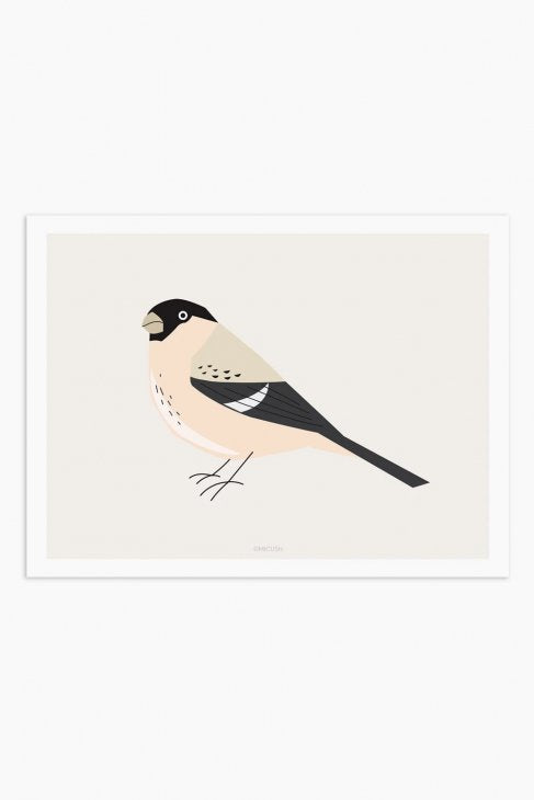 MICUSH | BIRD - PYRRHULA ART PRINT (AP068) | アートプリント/ポスター (30x40cm)
