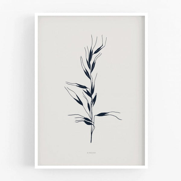 MICUSH | BOTANICAL SILHOUETTE - AVENA SATIVA ART PRINT (AP143) | アートプリント/ポスター (30x40cm)