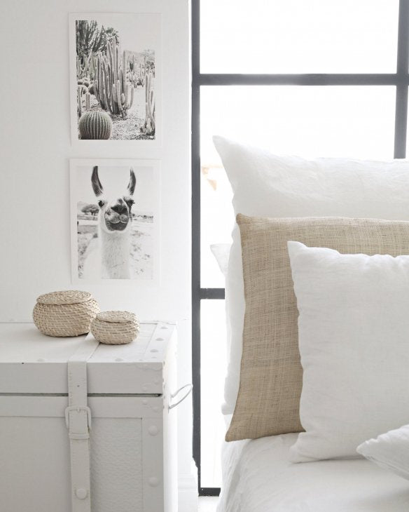 MICUSH | LLAMA PHOTOGRAPHY PRINT (AP026) | アートプリント/ポスター (30x40cm)