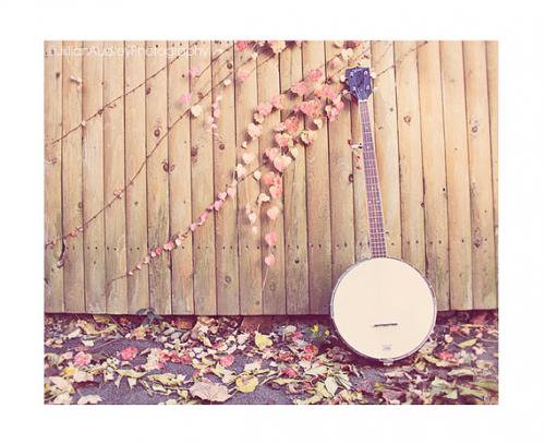 JILLIAN AUDREY | THE BANJO PHOTOGRAPHY | フォトグラフィ/ポスター