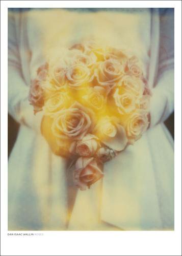 DAN ISAAC WALLIN | ROSES | フォトグラフィ/ポスター (50x70cm)