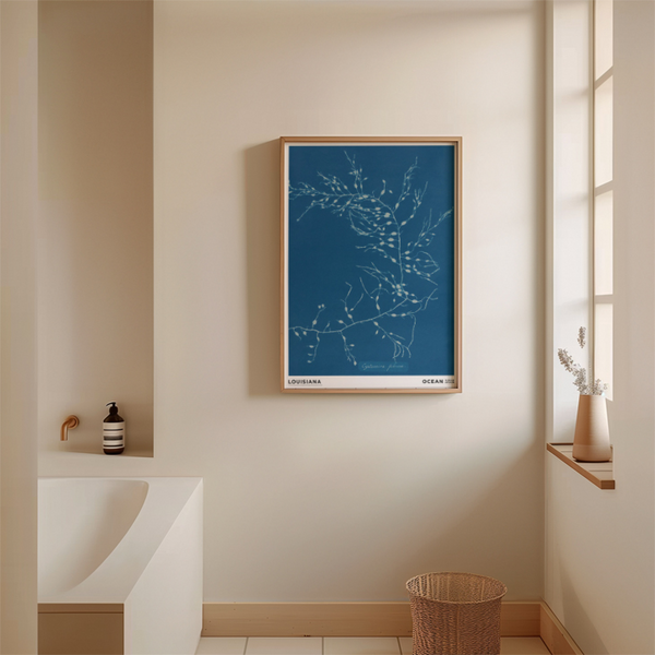 LOUISIANA | ANNA ATKINS - CYSTOSEIRA FIBROSA (1843-1853) | A2 アートプリント/ポスター 北欧 デンマーク おしゃれ