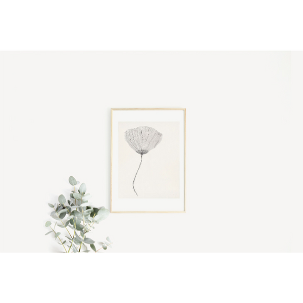 THE POSTER CLUB x Ana Frois | Poppy | アートプリント/アートポスター 北欧 デンマーク