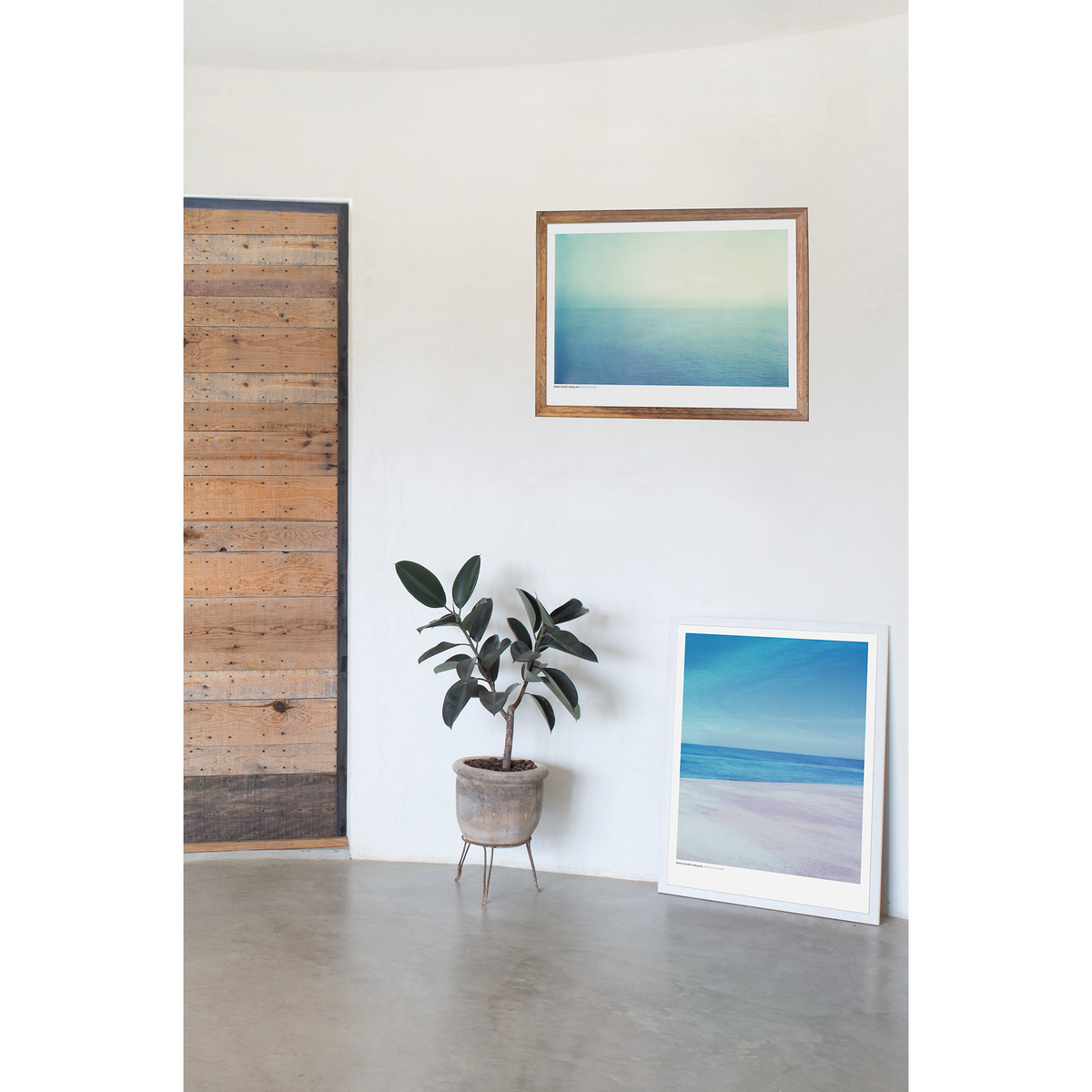 DAN ISAAC WALLIN | PACIFICO 166 | フォトグラフィ | ポスター専門