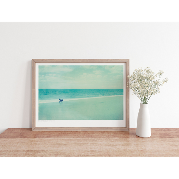 DAN ISAAC WALLIN | PACIFICO 270 | フォトグラフィ/ポスター (50x70cm)