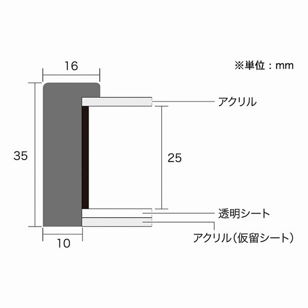 A.P.J. | クリアボックスフレーム A4/A3/太子サイズ (シャンパンゴールド/ヘアラインシルバー) | 木製額縁