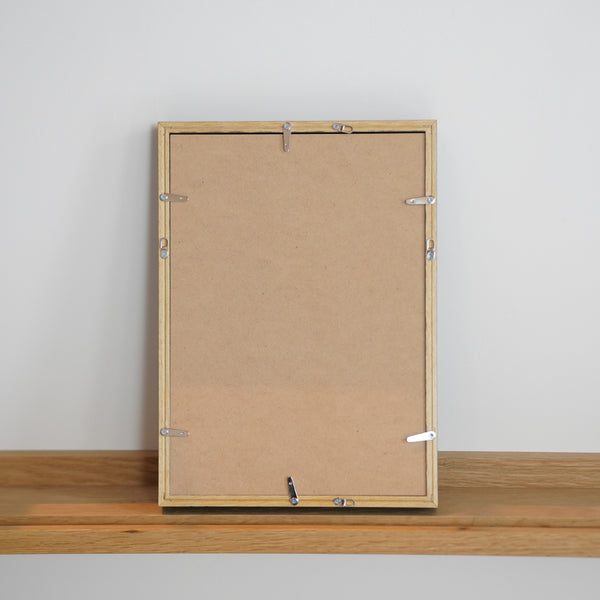 【A4】A.P.J. | アートボックスフレーム A4サイズ 6色展開 | 木製額縁 | A4 (210x297mm) 平面 立体 フィギュアBOX フラワーアレンジメント