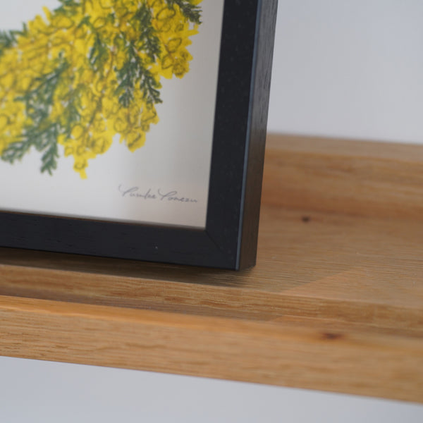 A.P.J. | アートボックスフレーム 正方形サイズ 6色展開 | 木製額縁 | 20x20cm 30x30cm 平面 立体 フィギュアBOX フラワーアレンジメント