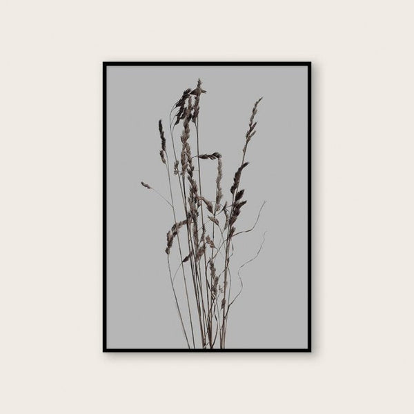 NOUROM | DRIED GRASS #1 | A3 アートプリント/ポスター