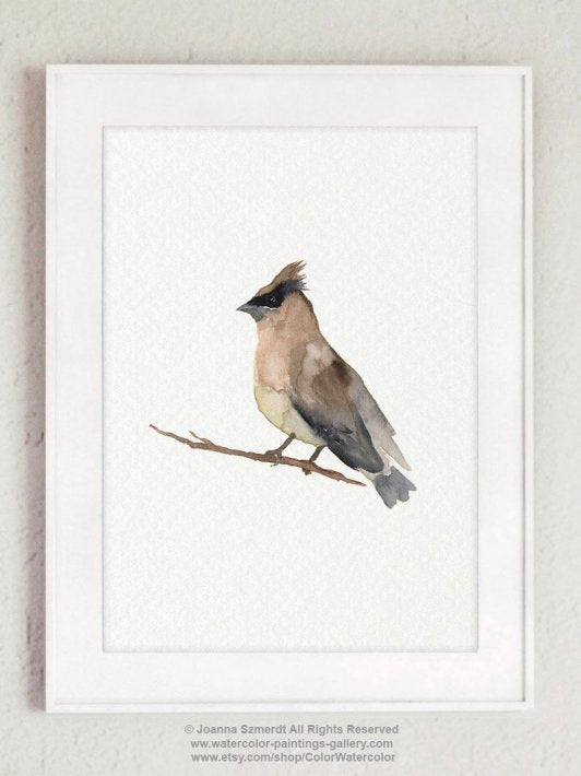 COLOR WATERCOLOR | Cedar Waxwing Mixed Colors Bird | A4 アートプリント/ポスター