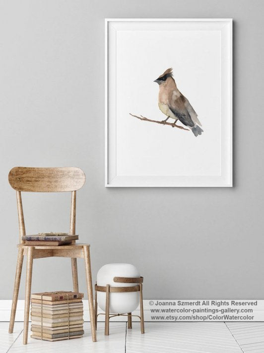 COLOR WATERCOLOR | Cedar Waxwing Mixed Colors Bird | A4 アートプリント/ポスター