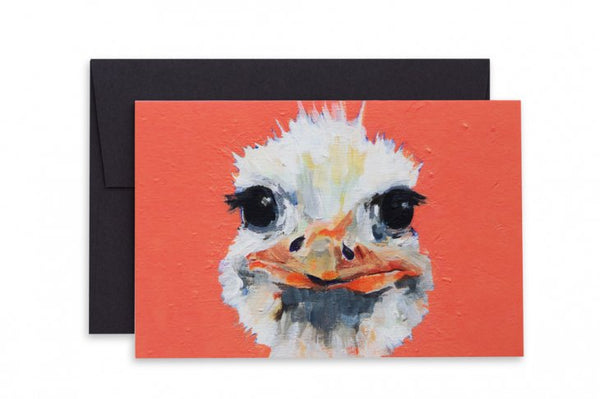 ASHFORTH PRESS | OSTRICH MUGSHOT CARD | グリーティングカード【水彩 シンプル 動物 アニマル】