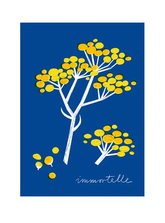 ANEK | Immortelle Botanical Art Print | A4 アートプリント/ポスター 北欧 カフェ レストラン インテリア おしゃれ