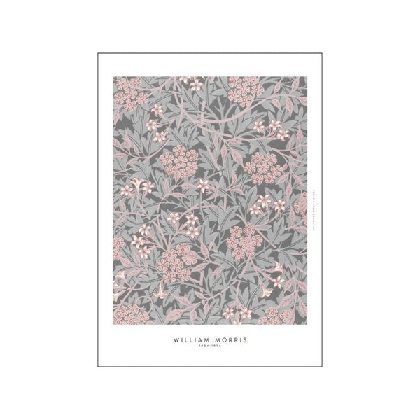 William Morris | Dust Rose | A5 アートプリント/アートポスター 北欧 デンマーク William Morris