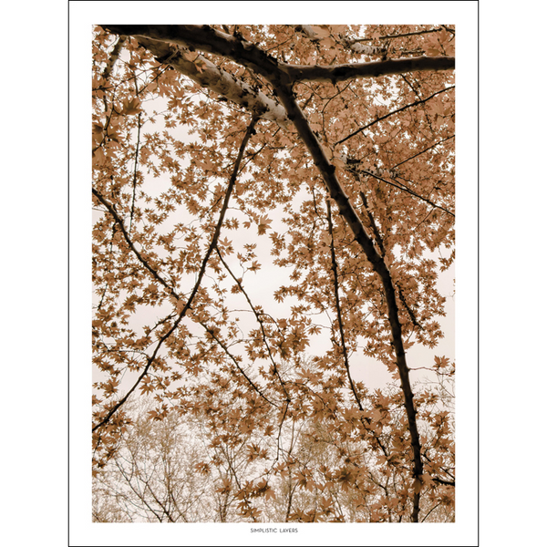 SIMPLISTIC LAYERS | Fall Oriental Plane Tree (APS42) | アートプリント/ポスター 北欧 インテリア おしゃれ